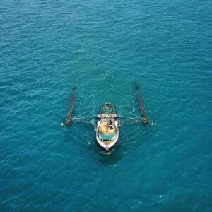 44779505_184129632476968_23917603424567296_n