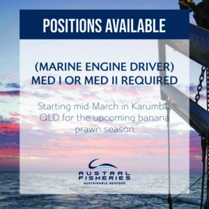 MED-I-and-II-Banana-Prawn-Season-2020-01-01