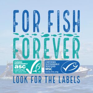 SSW-2020-Website-Photo-01