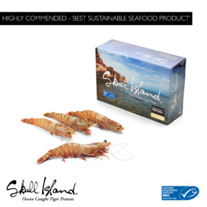 SSW-Skullies-Highly-Commended-01