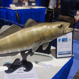 Sena14