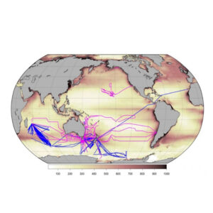 Ships-of-Opportunity-Small